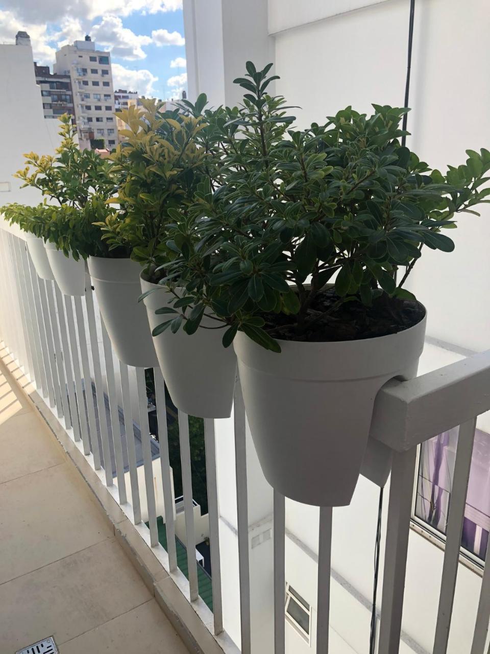 Apartment 2 Belgrano